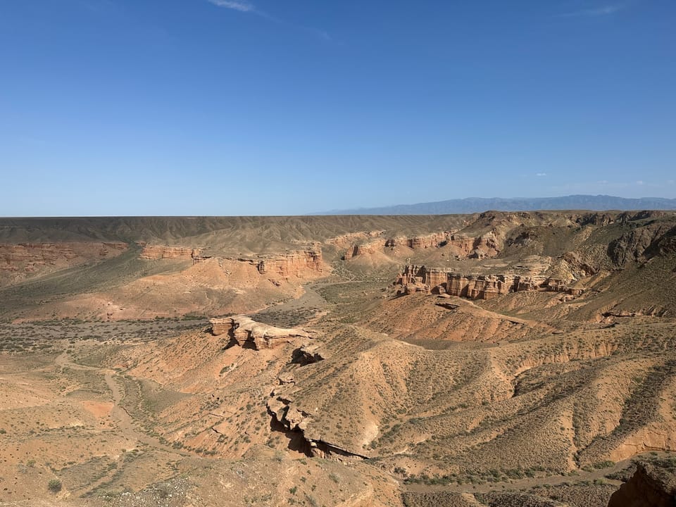 Horses on the wide Kazakh steppe with mountains in the distance