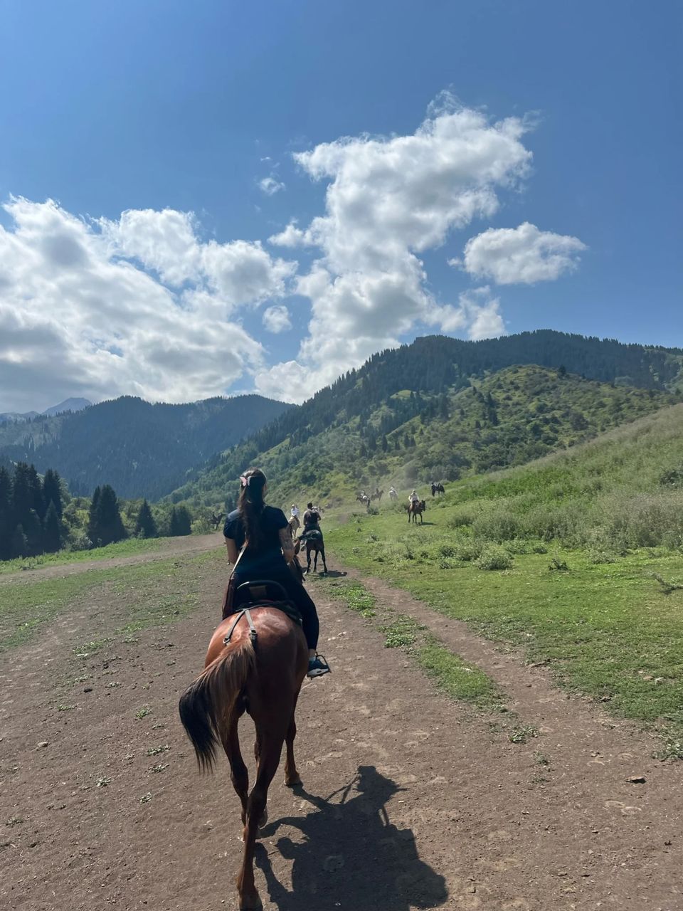Horse riding on the open steppe with blue sky and mountains