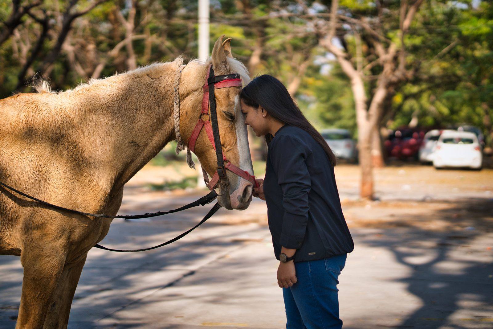A woman gently interacting with a horse in a calm, quiet setting